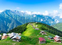 Yayla, Yayla Karadeniz Turu Batum Konaklamalı