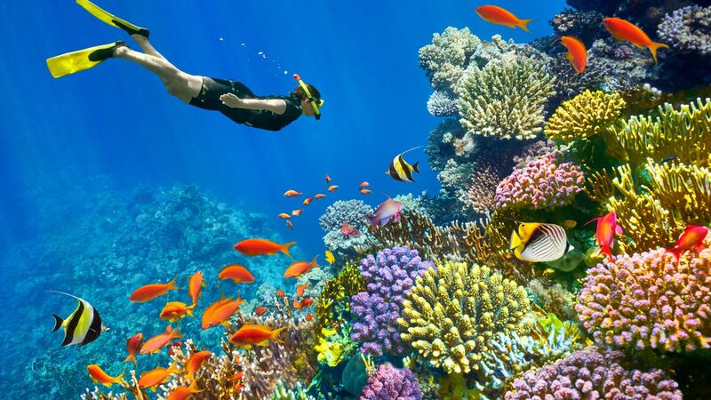 Kahire & Sharm Turu İzmir'den (KURBAN BAYRAMI ÖZEL)