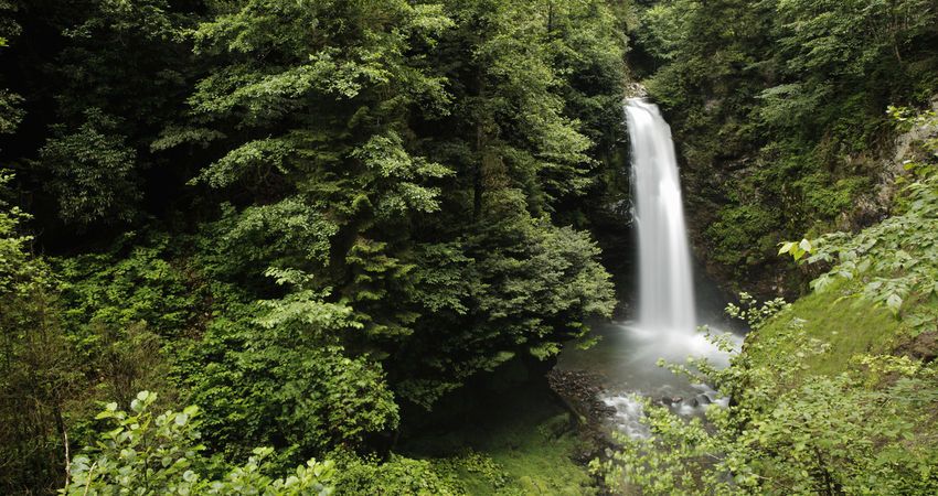 Uçaklı Karadeniz Yaylalar ve Batum Turu
