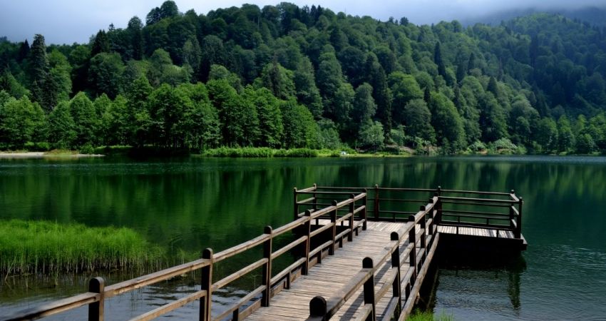 Uçaklı Karadeniz Yaylalar ve Batum Turu